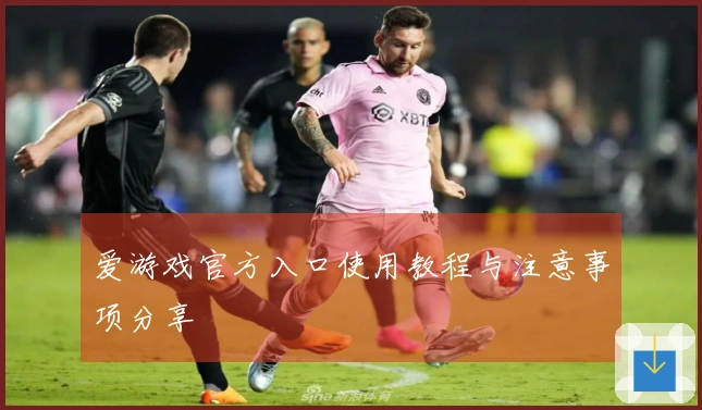 爱游戏官方入口使用教程与注意事项分享