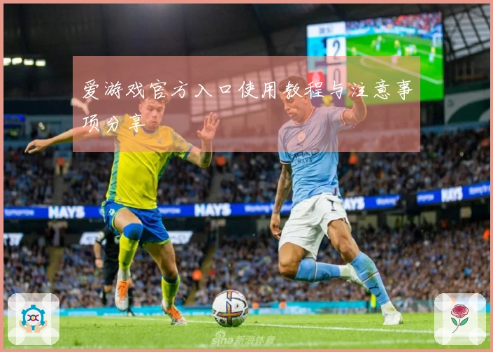 爱游戏官方入口使用教程与注意事项分享