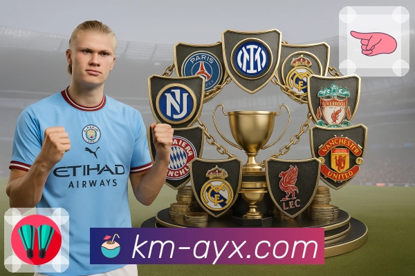 爱游戏极速入口使用体验与功能亮点全面解析